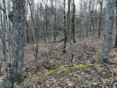 MAP8LOT6 Camp Prospect ME 04981