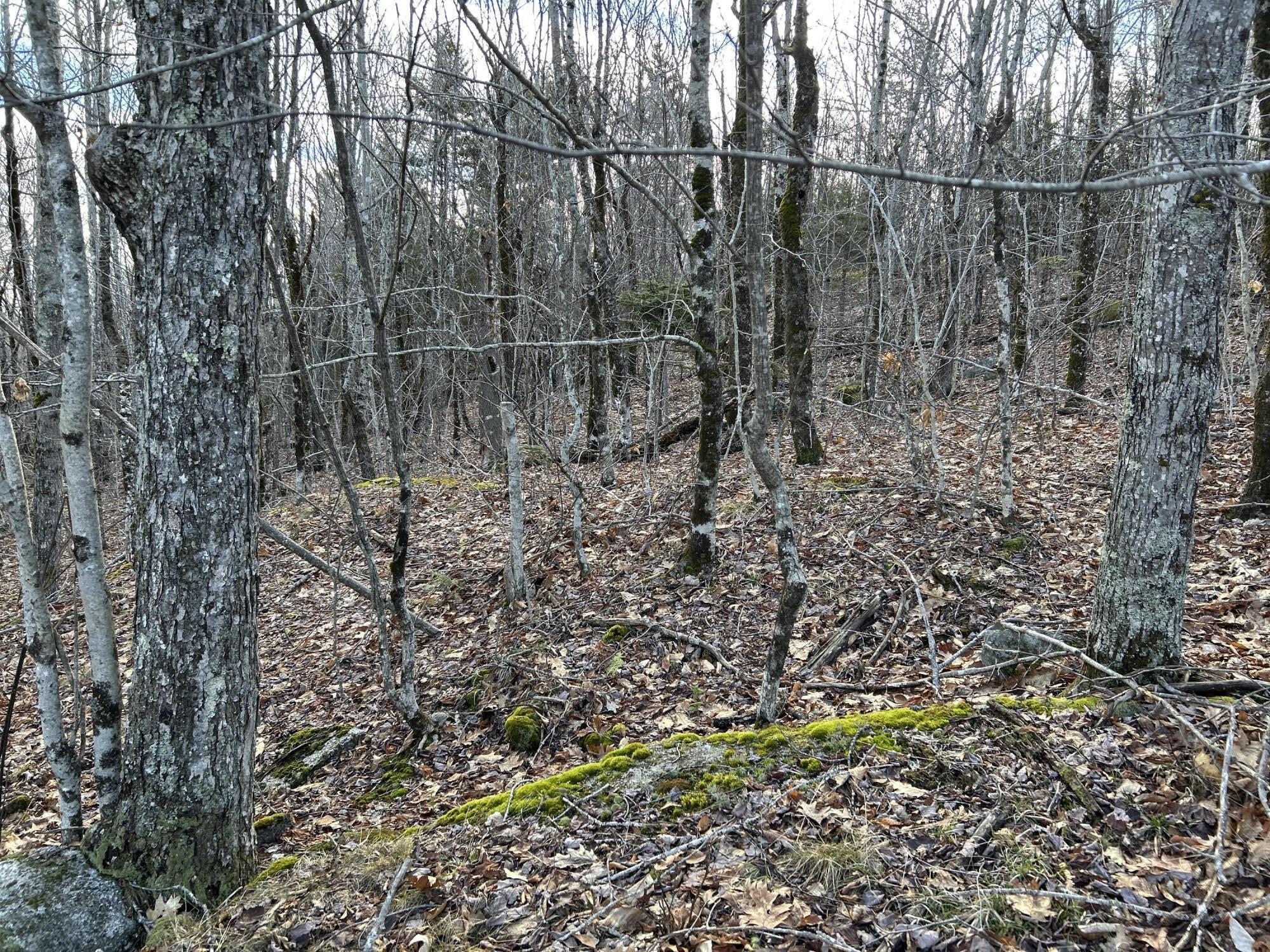 MAP8LOT6 Camp Prospect ME 04981