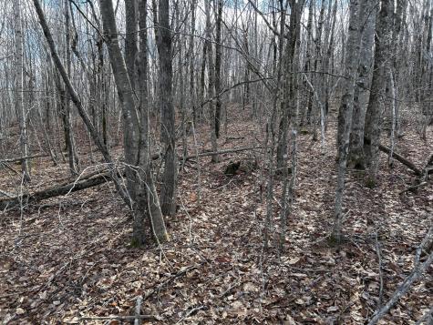 MAP8LOT6 Camp Prospect ME 04981