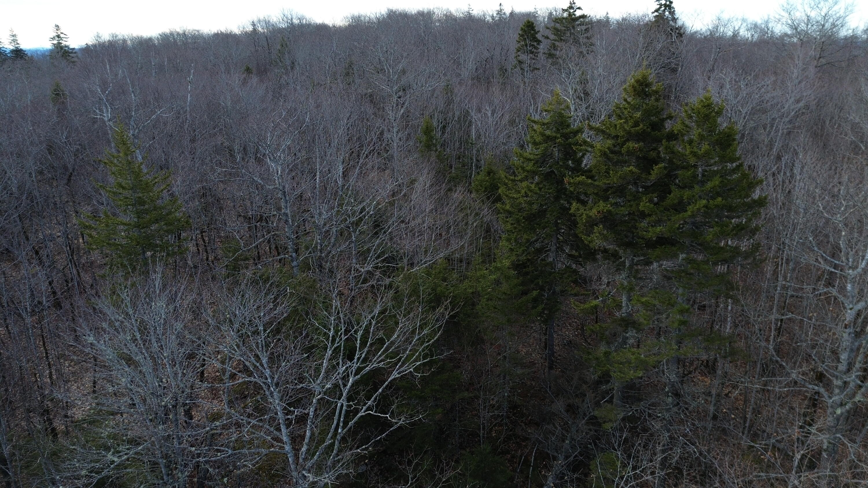 MAP8LOT6 Camp Prospect ME 04981