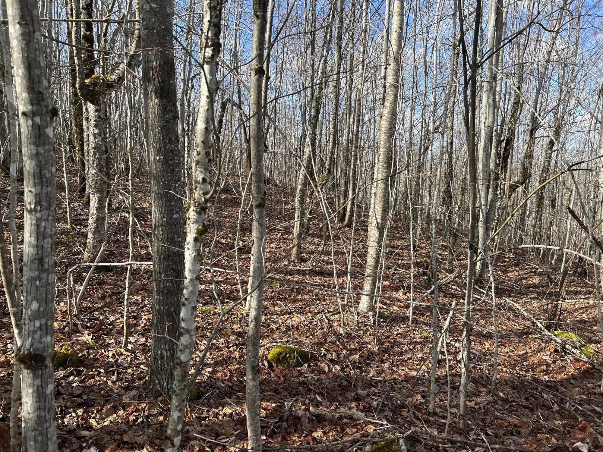 MAP8LOT6 Camp Prospect ME 04981