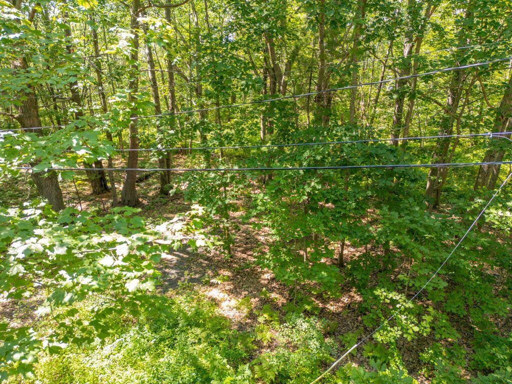 1 Coolidge Avenue Portland ME 04103