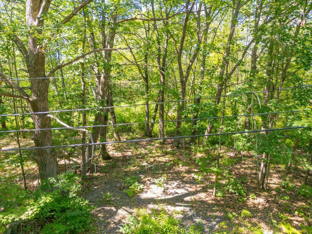 1 Coolidge Avenue Portland ME 04103