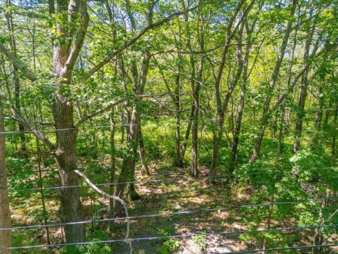 1 Coolidge Avenue Portland ME 04103