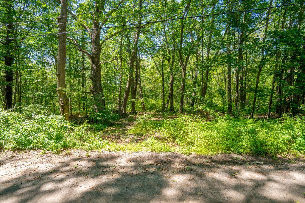 1 Coolidge Avenue Portland ME 04103