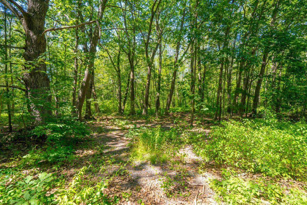 1 Coolidge Avenue Portland ME 04103