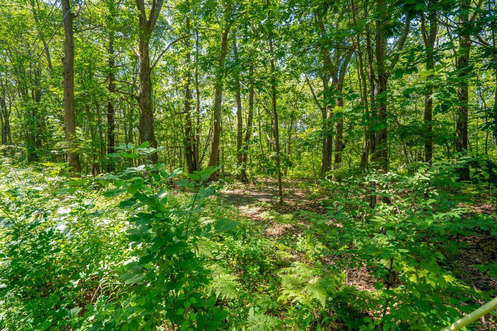 1 Coolidge Avenue Portland ME 04103