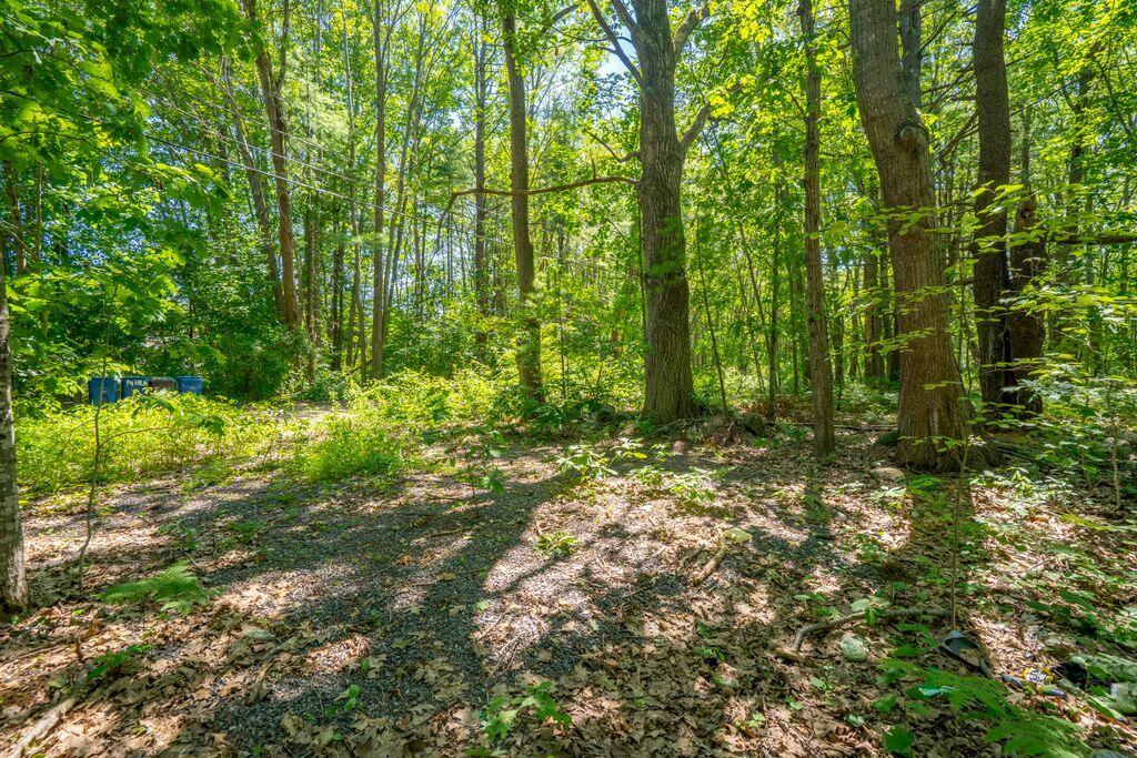 1 Coolidge Avenue Portland ME 04103