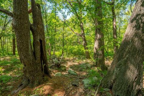 1 Coolidge Avenue Portland ME 04103