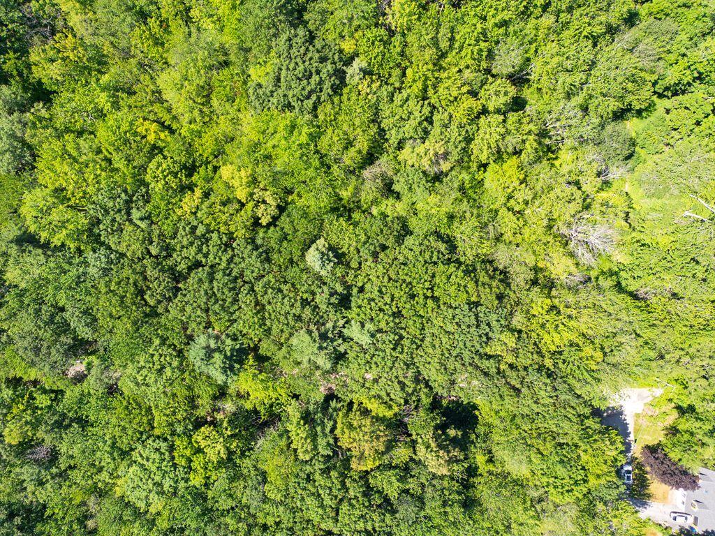 1 Coolidge Avenue Portland ME 04103