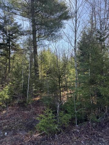 18-b Back Pasture Lane Blue Hill ME 04614