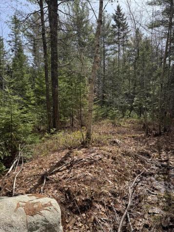 18-b Back Pasture Lane Blue Hill ME 04614
