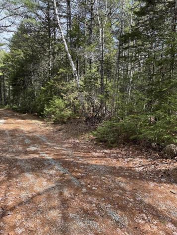 18-b Back Pasture Lane Blue Hill ME 04614