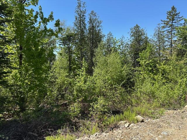 Lot 12 Mt. Jefferson Heights Lee ME 04455
