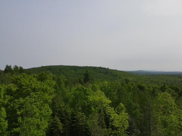 Lot 12 Mt. Jefferson Heights Lee ME 04455