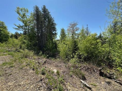 Lot 12 Mt. Jefferson Heights Lee ME 04455