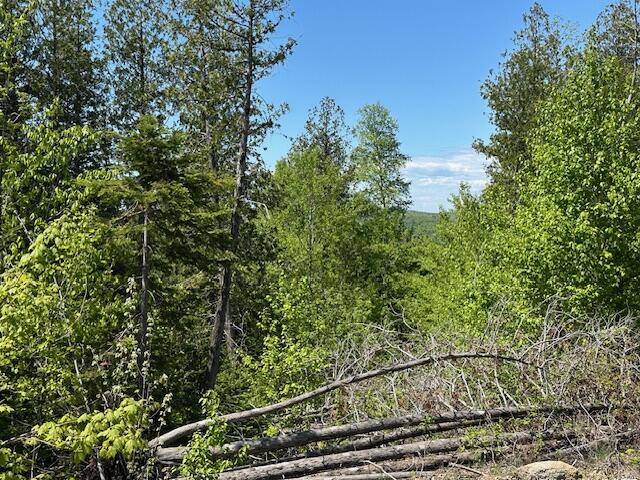 Lot 12 Mt. Jefferson Heights Lee ME 04455