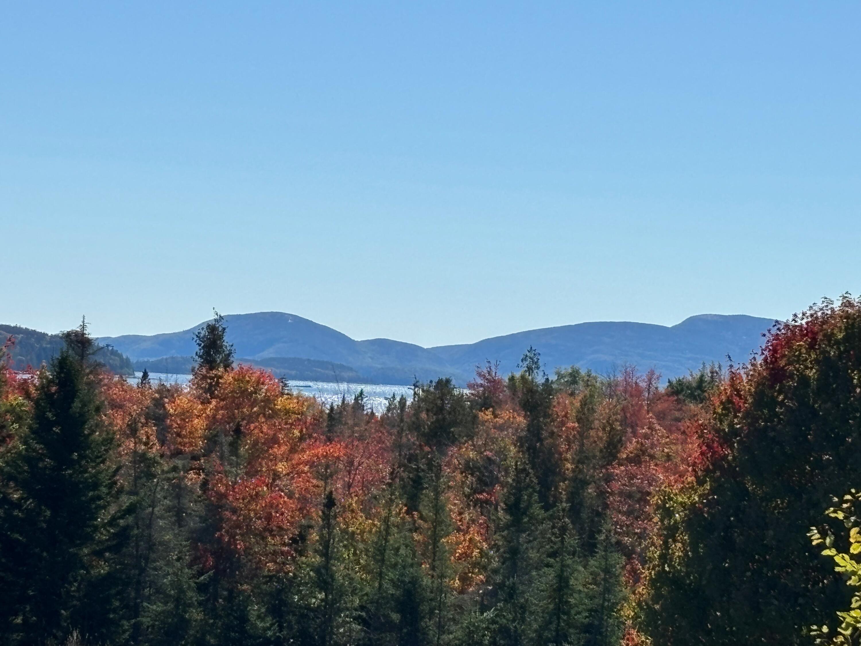 20 Route 1 Gouldsboro ME 04680