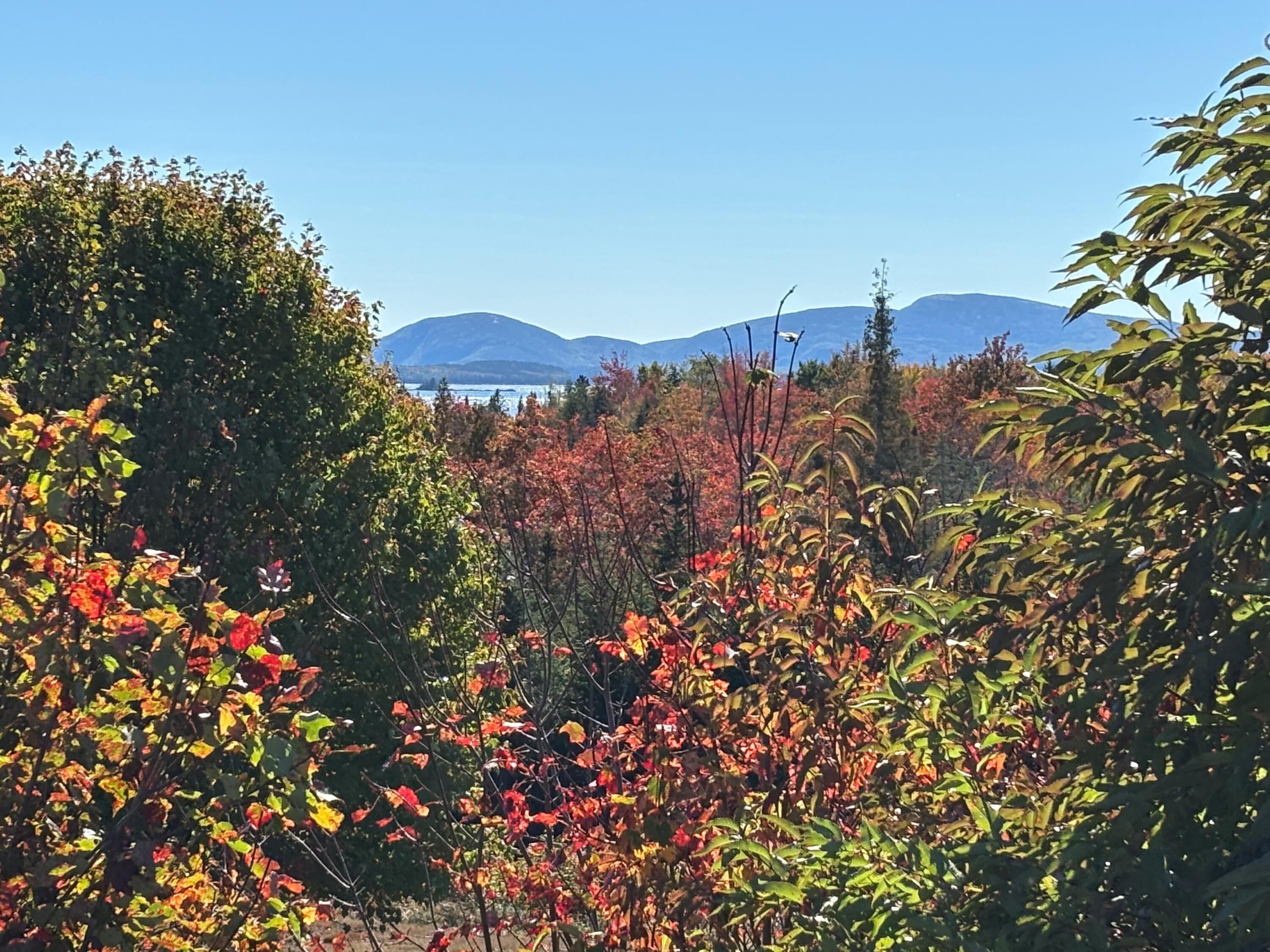 20 Route 1 Gouldsboro ME 04680