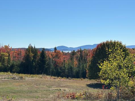 20 Route 1 Gouldsboro ME 04680