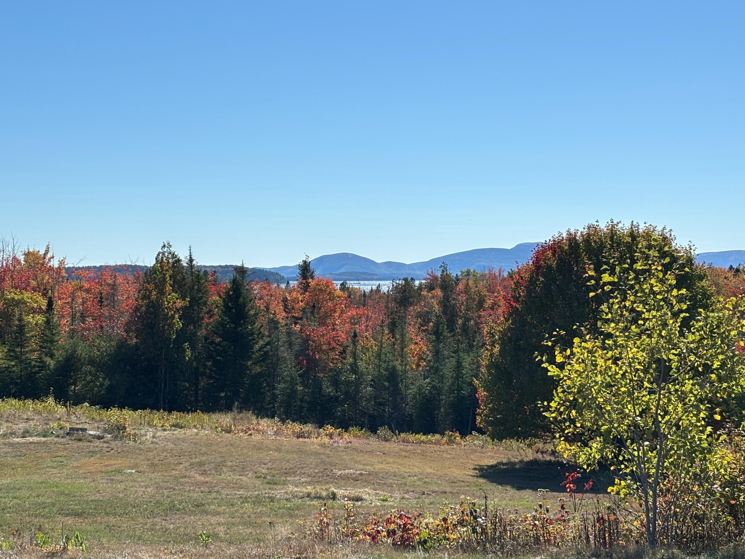 20 Route 1 Gouldsboro ME 04680