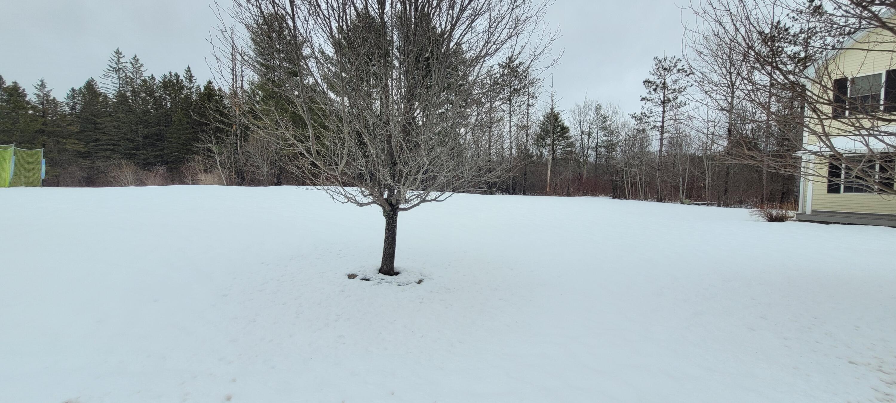 Lot 7 Deer Pond Lane Bangor ME 04401