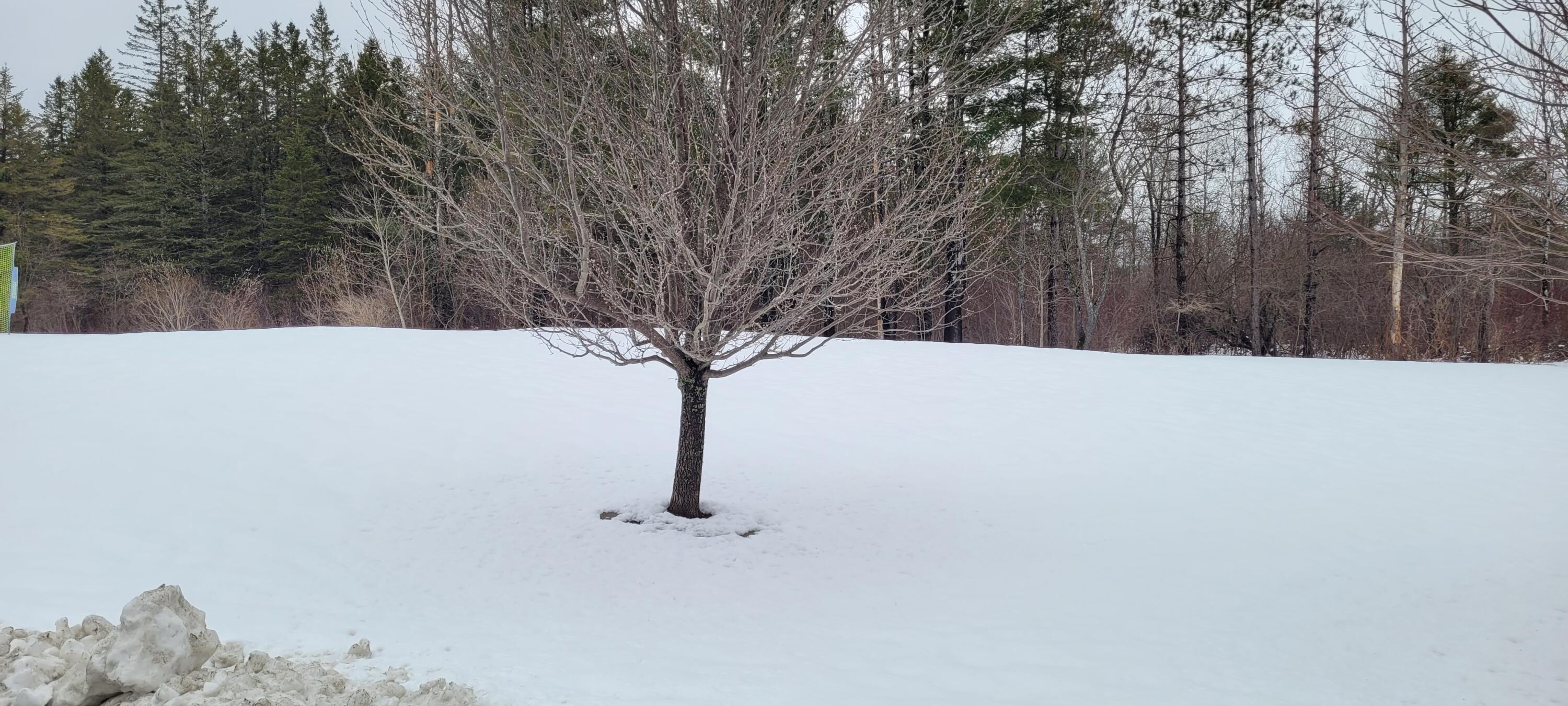 Lot 7 Deer Pond Lane Bangor ME 04401