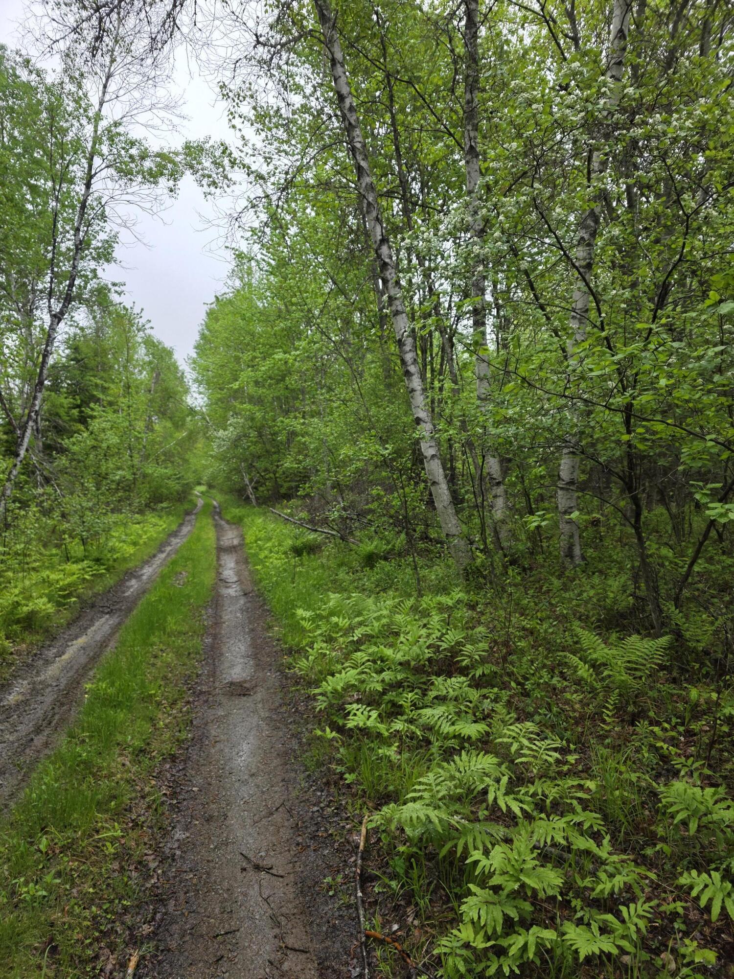 Off Mill Street Kingman Twp ME 04451