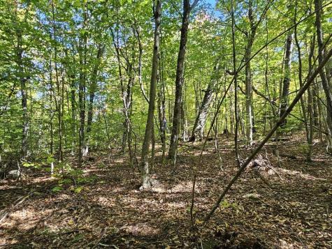 Tbd Temple Road Farmington ME 04938