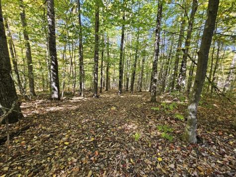 Tbd Temple Road Farmington ME 04938