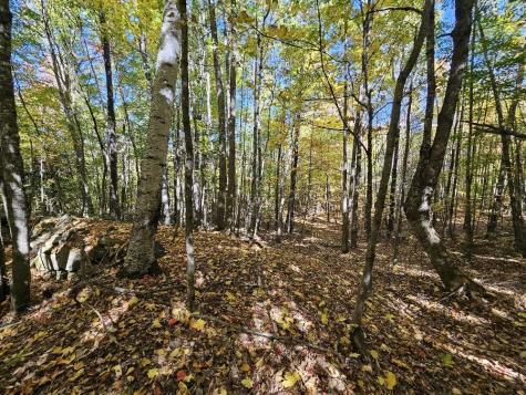 Tbd Temple Road Farmington ME 04938