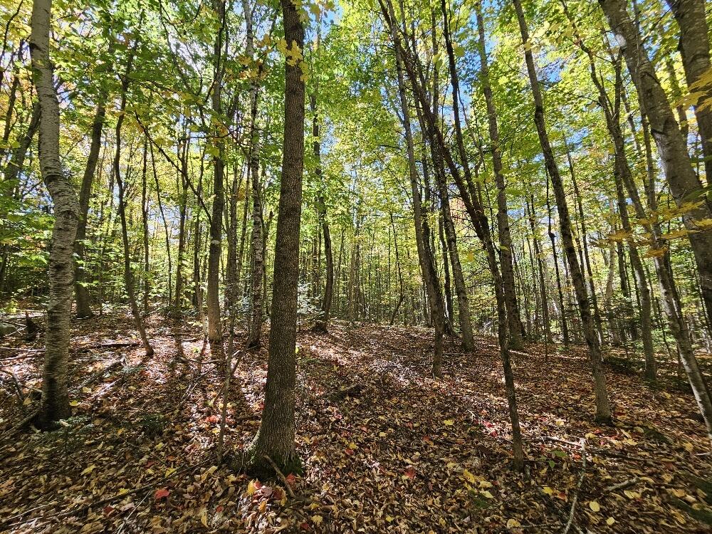 Tbd Temple Road Farmington ME 04938