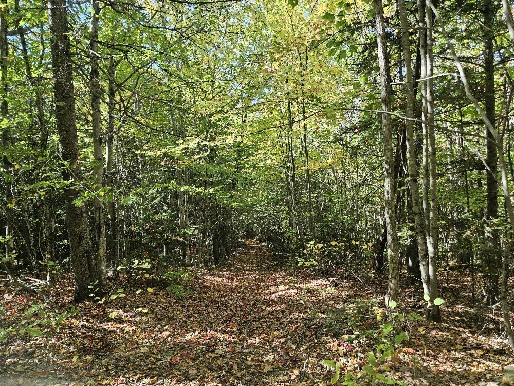 Tbd Temple Road Farmington ME 04938