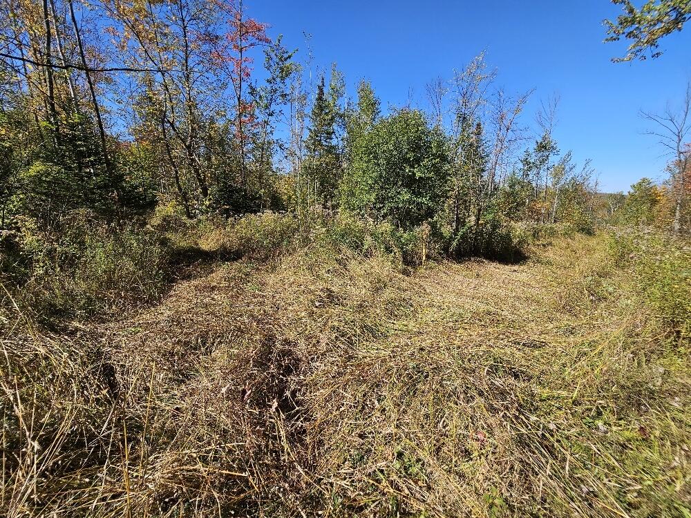 Tbd Temple Road Farmington ME 04938