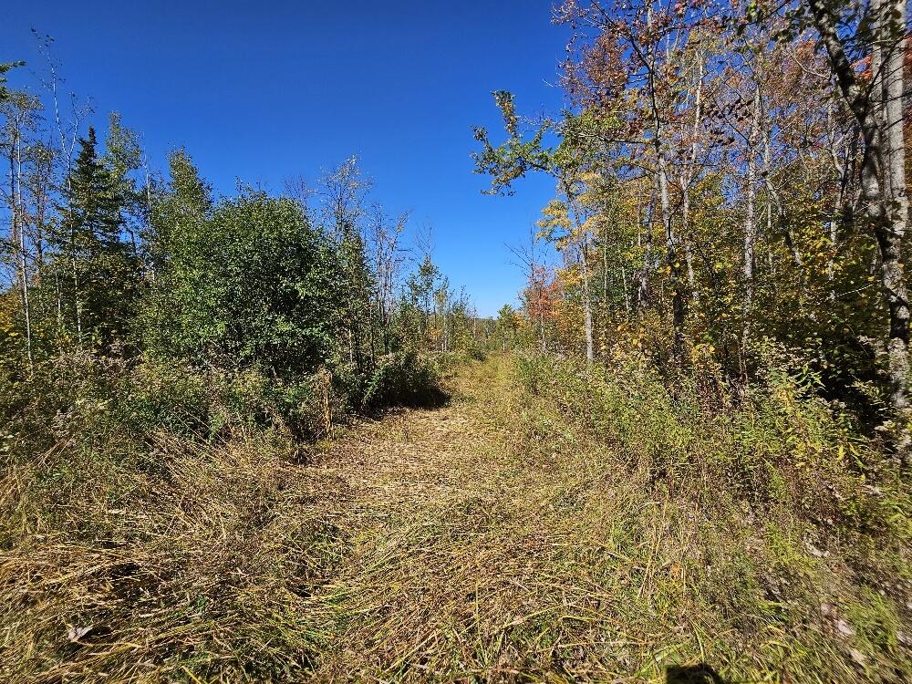 Tbd Temple Road Farmington ME 04938