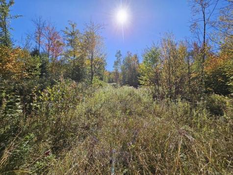 Tbd Temple Road Farmington ME 04938