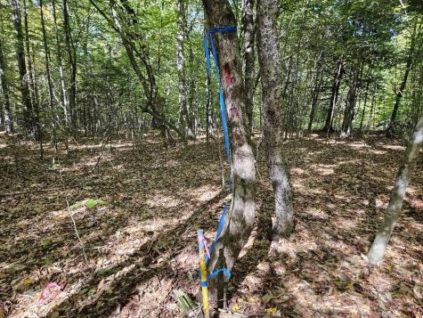 Tbd Temple Road Farmington ME 04938