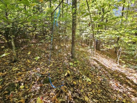 Tbd Temple Road Farmington ME 04938