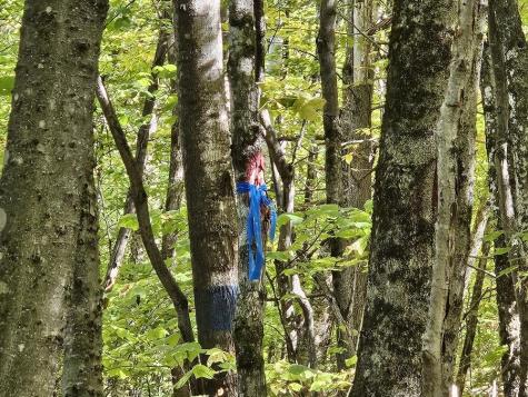 Tbd Temple Road Farmington ME 04938