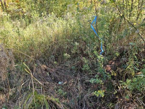 Tbd Temple Road Farmington ME 04938