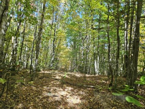 Tbd Temple Road Farmington ME 04938