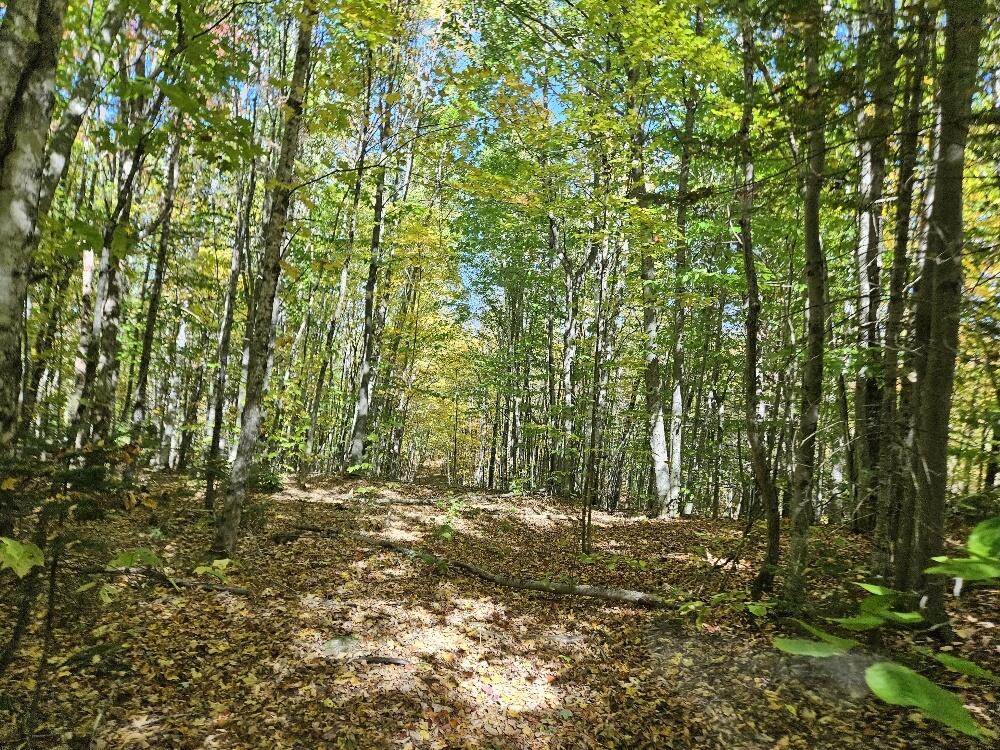 Tbd Temple Road Farmington ME 04938