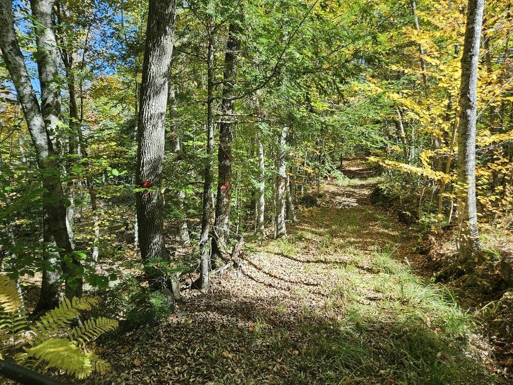 Tbd Temple Road Farmington ME 04938