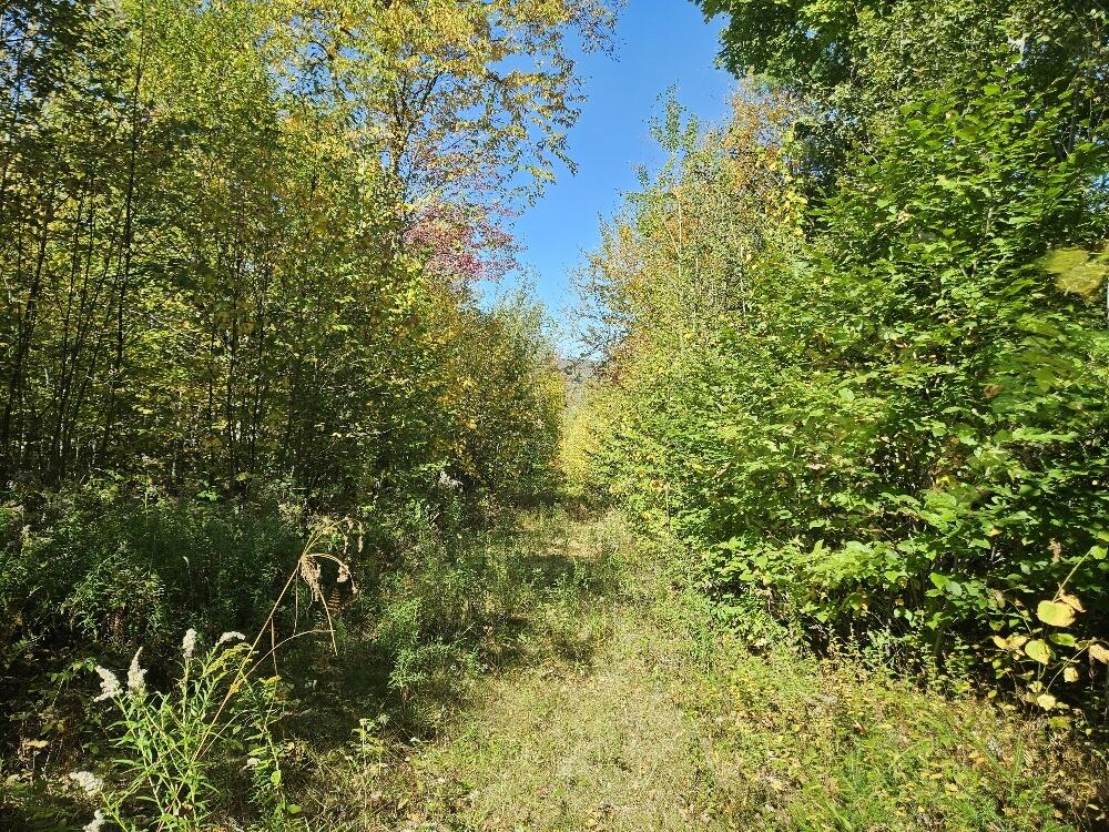 Tbd Temple Road Farmington ME 04938
