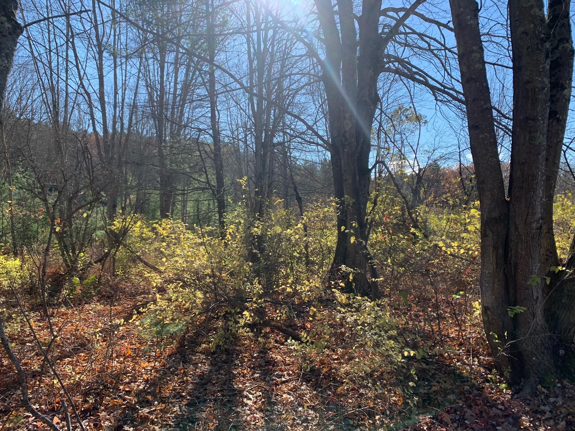 545 -B Old Bath Road Brunswick ME 04011