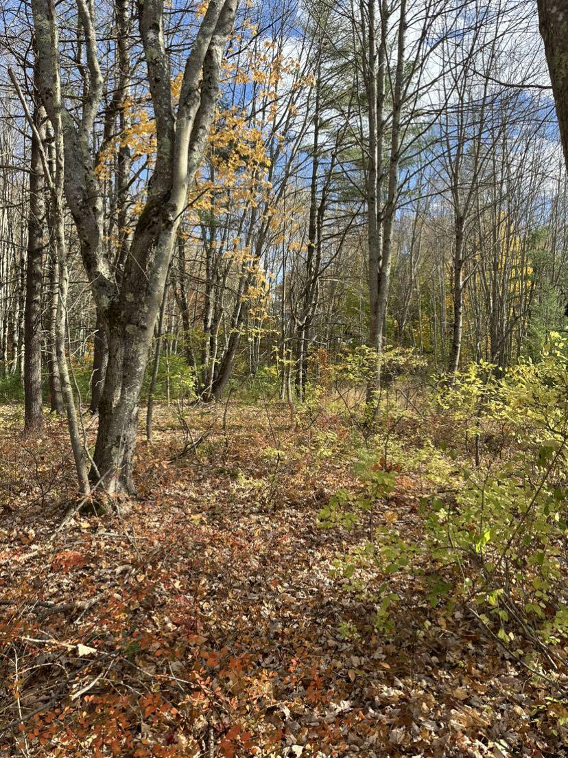 545 -B Old Bath Road Brunswick ME 04011