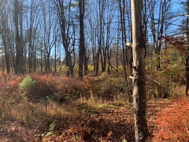 545 -B Old Bath Road Brunswick ME 04011