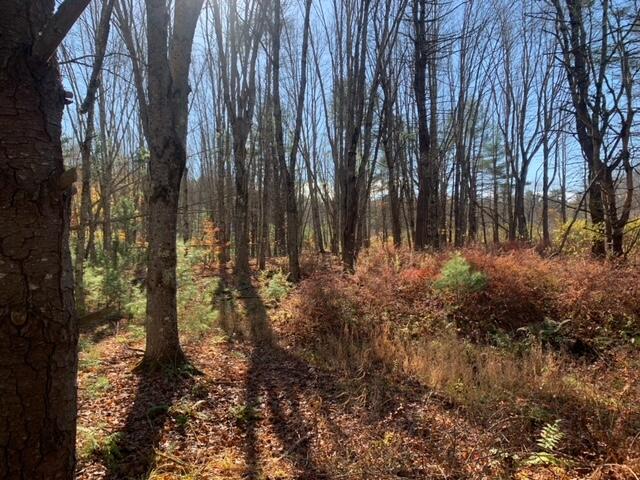 545 -B Old Bath Road Brunswick ME 04011