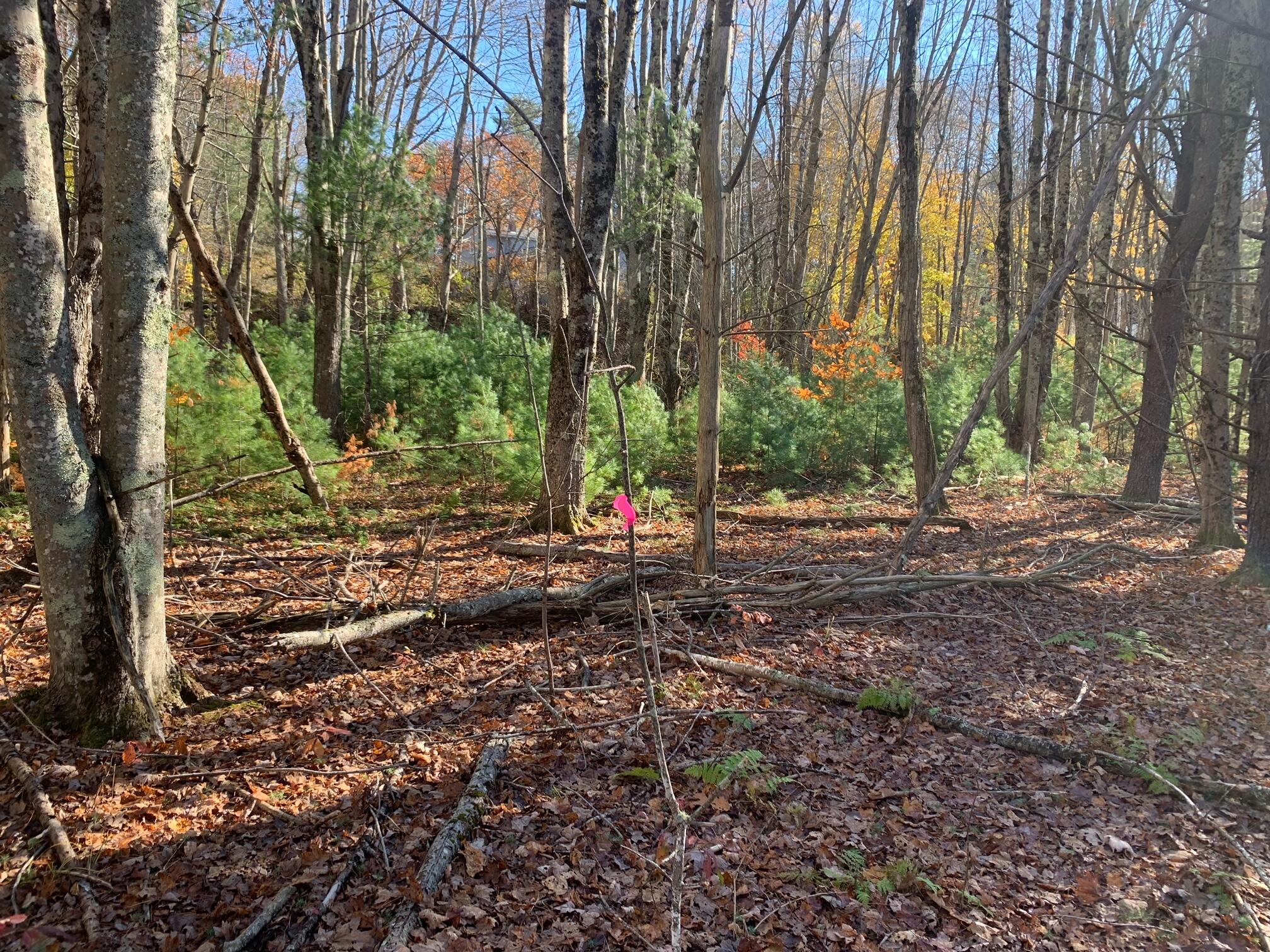 545 -B Old Bath Road Brunswick ME 04011