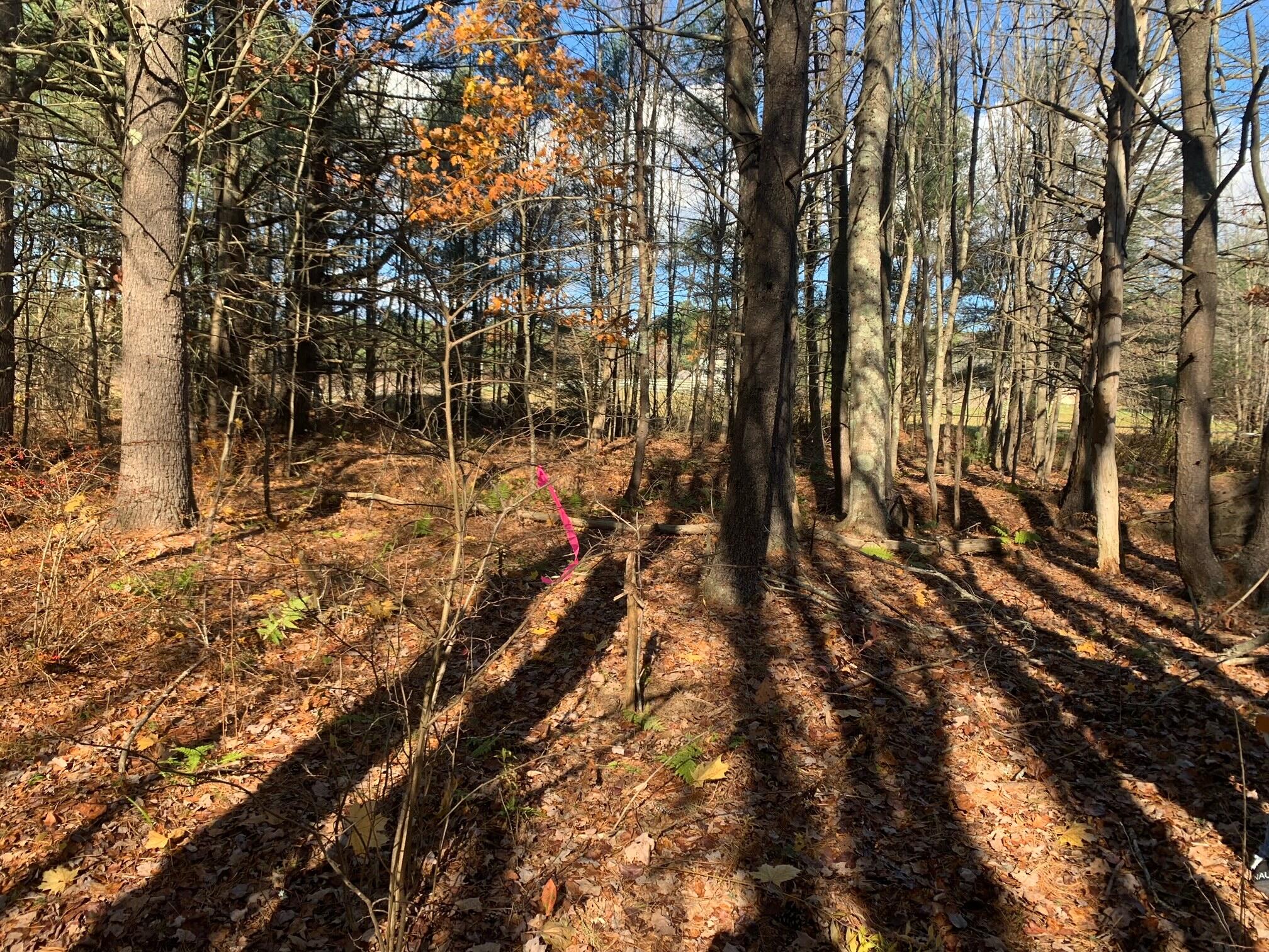 545 -B Old Bath Road Brunswick ME 04011